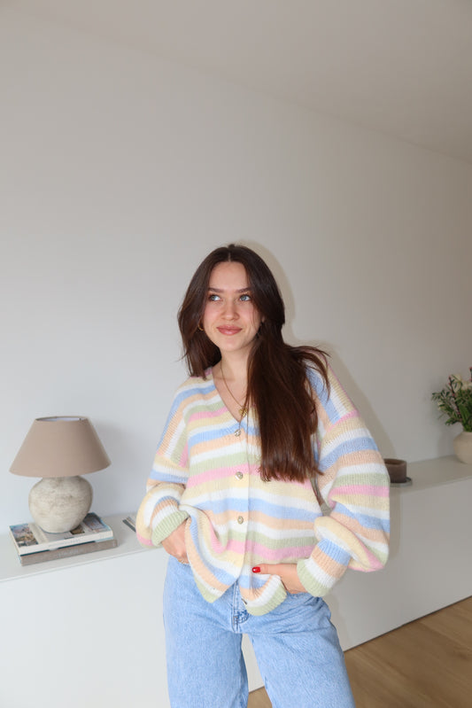 Cardigan Stripe bunt long
