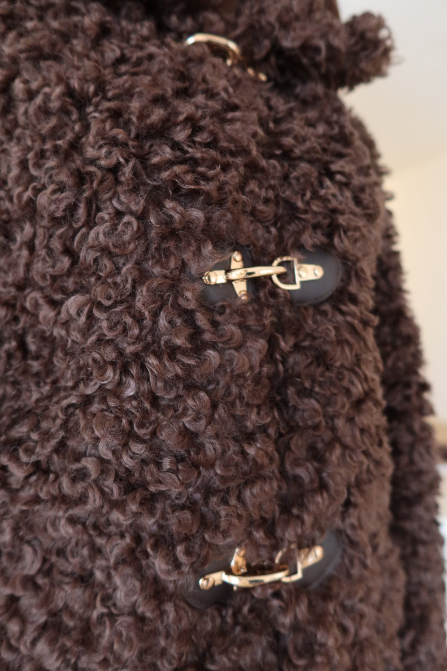 Teddy Jacke brown short